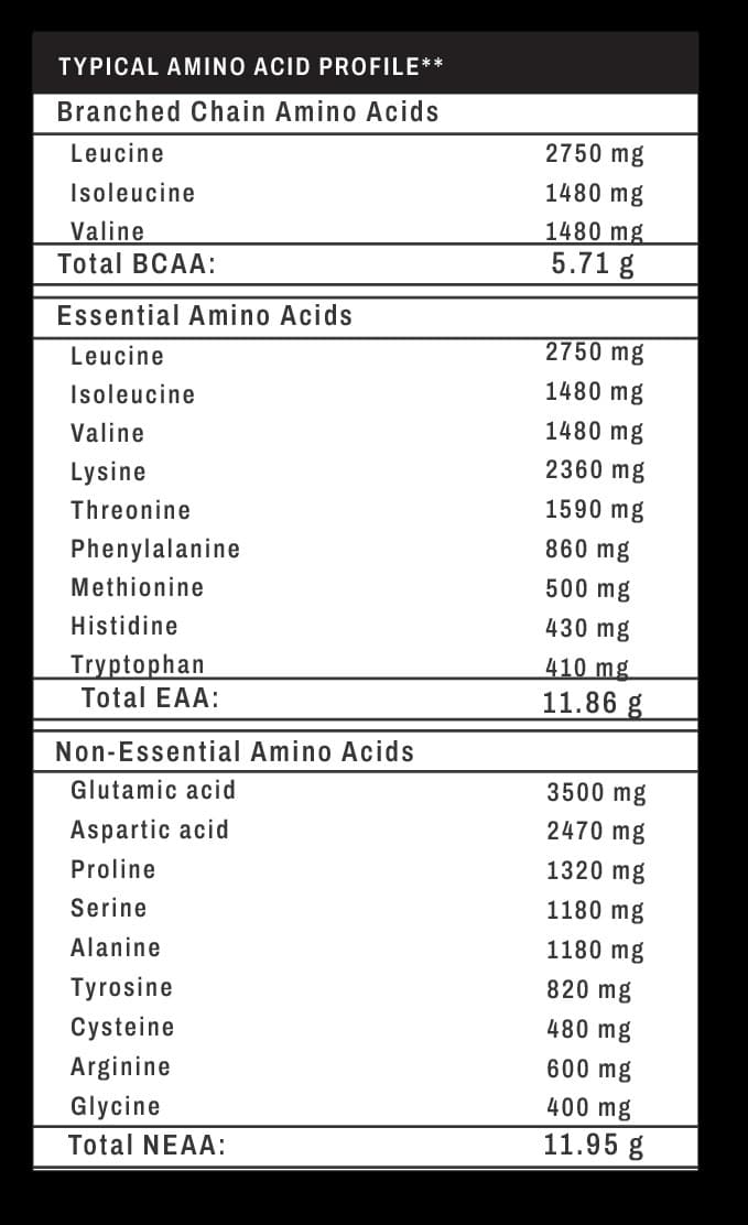 Surge Whey WPC — Amino Acid Profile